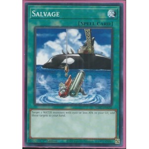 SDFC-EN032 Salvage – Common 